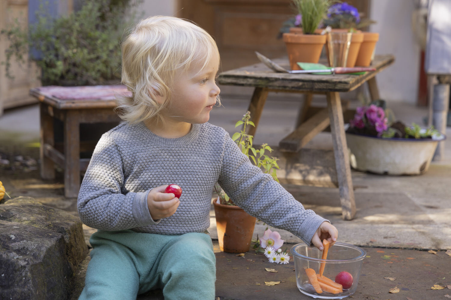 Hintergrundbild für die neue Kollektion